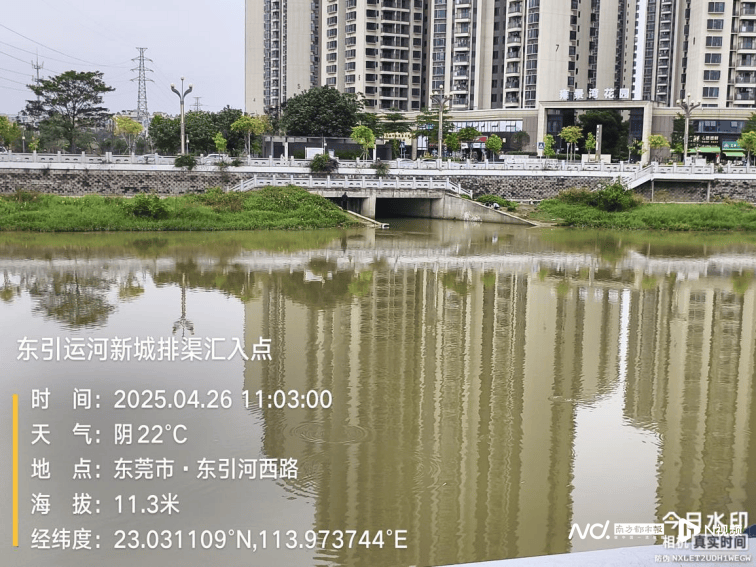 皇冠信用网开户_东莞寒溪河出现大片死鱼皇冠信用网开户!官方回应:天气原因