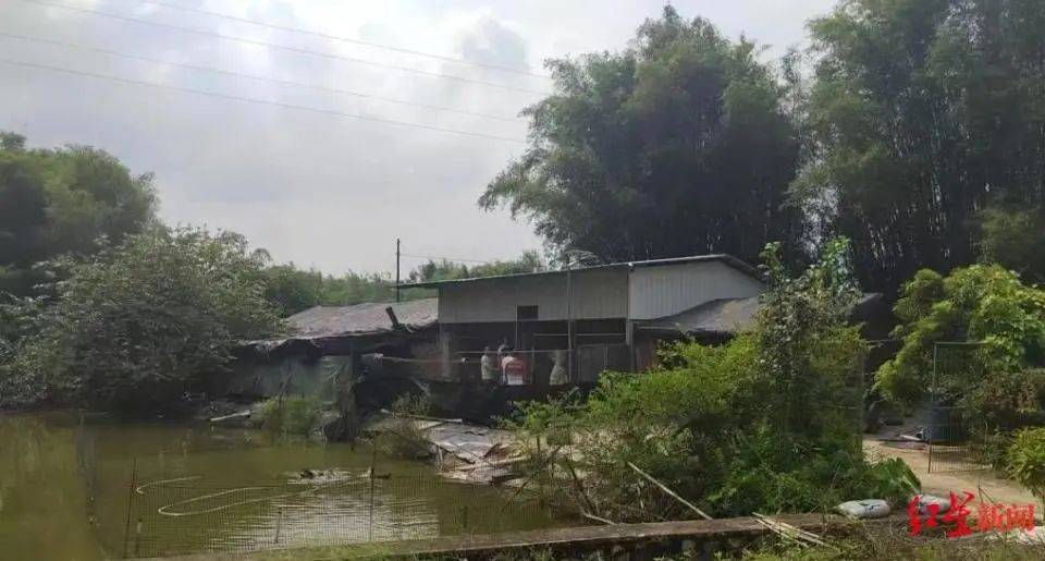 皇冠信用网如何注册_男子杀害母亲和女友后带嫂嫂潜逃32年落网皇冠信用网如何注册,两人育有一儿一女,侦破细节披露