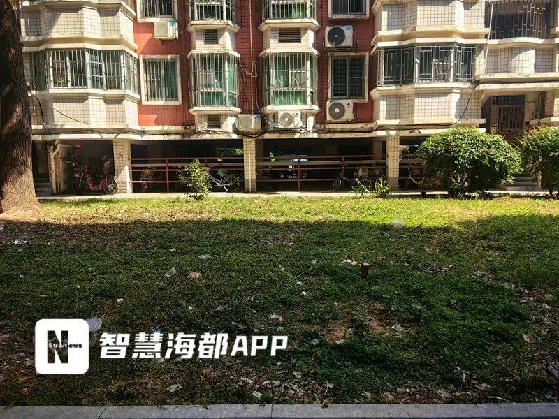 冰岛女子甲组联赛_太恶心了!福州一小区业主崩溃:“有人高空抛屎冰岛女子甲组联赛,溅得到处都是!”