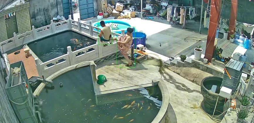 皇冠信用盘如何开户_新乡一男子喂鱼忘送娃上课被妻子踹进鱼池:妻子怀孕脾气有时候控制不住皇冠信用盘如何开户,互相道了歉