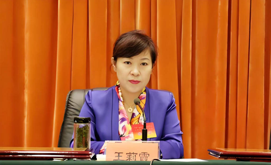 AC米兰vs克雷莫内塞
_“换装主席”王莉霞的堕落:从光鲜人设到腐败深渊