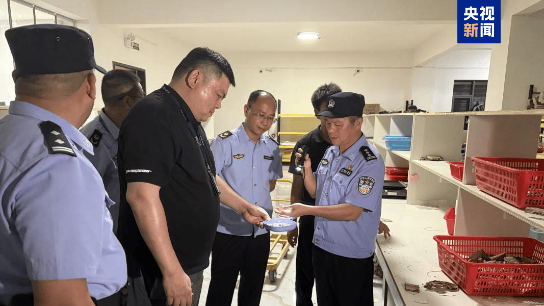 布里斯班城(女) vs伊斯特恩沙伯(女)_央视曝光后布里斯班城(女) vs伊斯特恩沙伯(女),广东电白连夜行动,对5家企业立案调查