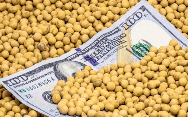 皇冠信用盘结算日是哪天
_特朗普紧急发文皇冠信用盘结算日是哪天
，对中国已做好最坏打算，或禁买中国食用油？提醒忠实盟友牢牢记住一点