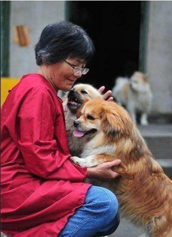 皇冠信用盘网址
_合肥卖房救助流浪狗的魏阿姨离世皇冠信用盘网址
,病中仍然惦记着基地的600只流浪狗,工人:不敢相信世上还有这样执着的人