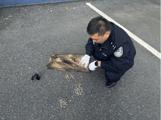 皇冠信用网在线注册
_男子钓到108发子弹以为是大鱼皇冠信用网在线注册
,警方:疑似为历史遗留弹药,已移交至相关部门处理