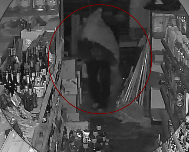 皇冠信用网怎么申请_青岛某超市凌晨突然出现神秘黑影皇冠信用网怎么申请，披着烂麻袋低着头，当他终于转过脸来，警察都气笑了